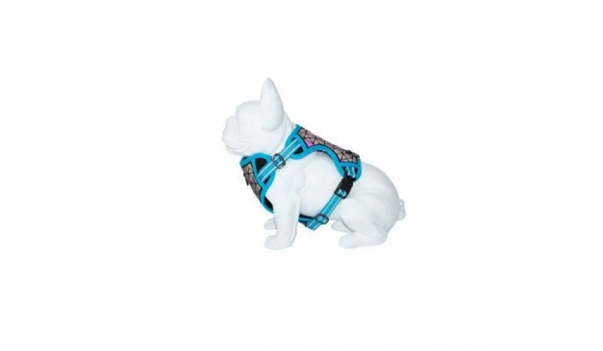 Freedog Boreal Arnés Ajustable Azul Capri 340g