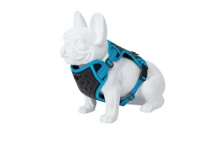 Freedog Boreal Arnés Ajustable Azul Capri 340g