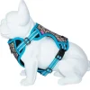 Freedog Boreal Arnés Azul Capri 1 ud
