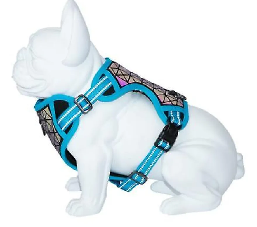 Freedog Boreal Arnés Azul Capri 1 ud