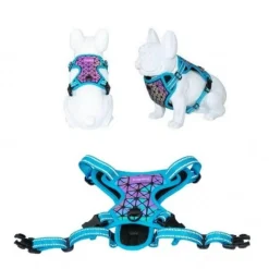 Freedog Boreal Arnés Azul Capri 1 ud