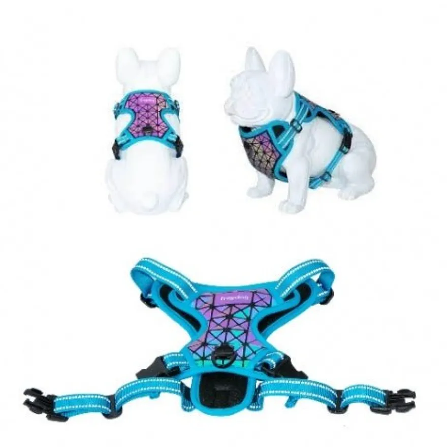 Freedog Boreal Arnés Azul Capri 1 ud