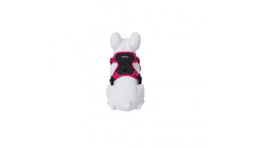 Freedog Boreal Arnés Fucsia M 240g