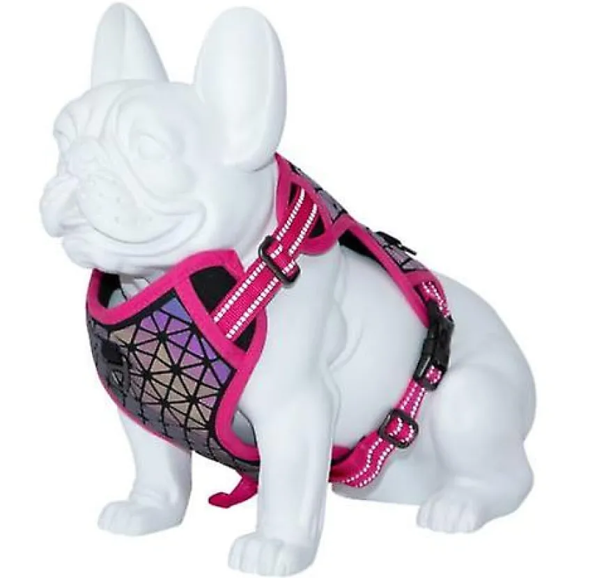 Freedog Boreal Arnés Fucsia M 240g