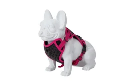 Freedog Boreal Arnés Fucsia M 240g