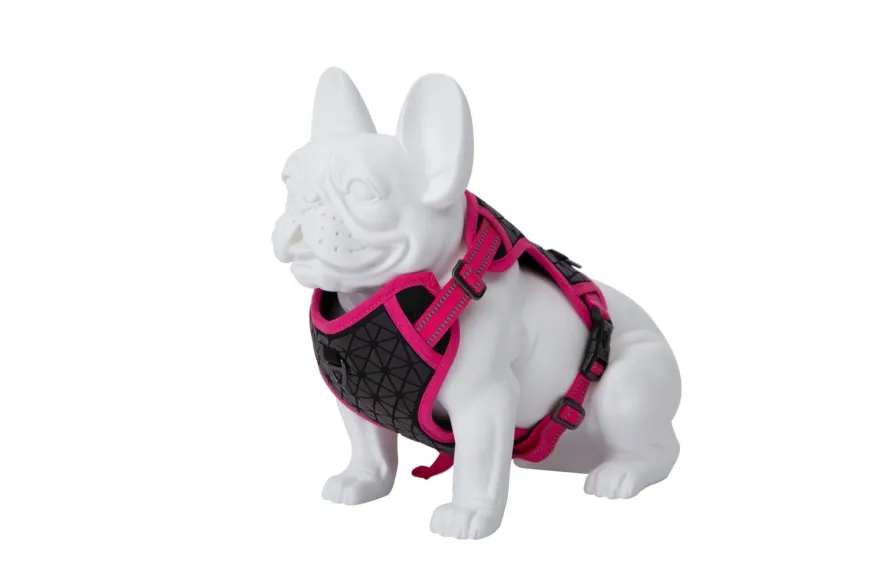 Freedog Boreal Arnés Fucsia M 240g