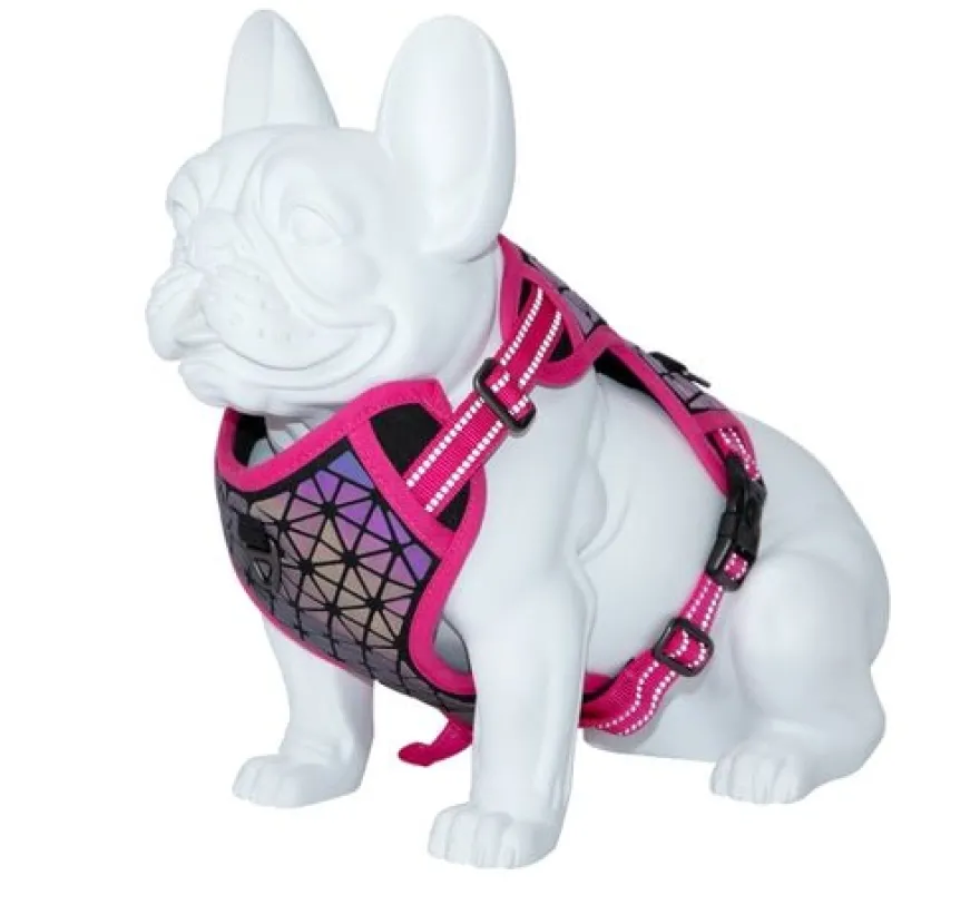 Freedog Boreal Arnés Fucsia M 240g
