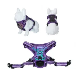 Freedog Boreal Arnés Lila 300g