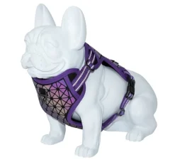 Freedog Boreal Arnés Lila 300g