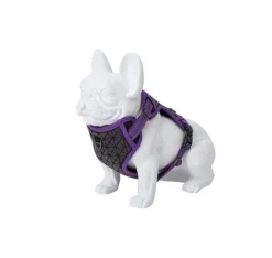 Freedog Boreal Arnés Lila 300g