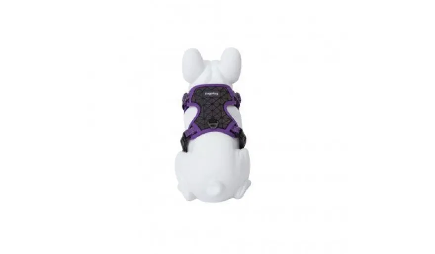 Freedog Boreal Arnés Lila 1 ud