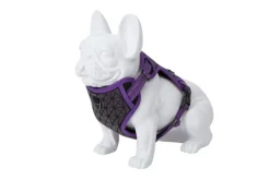 Freedog Boreal Arnés Lila 1 ud