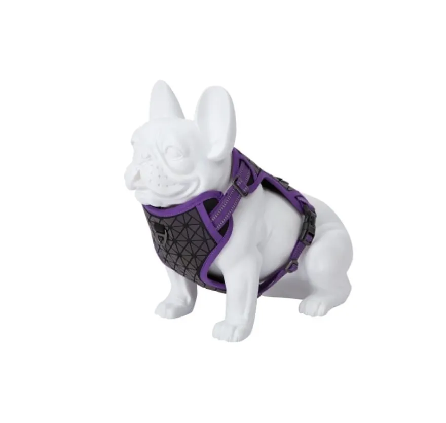 Freedog Boreal Arnés Lila 1 ud