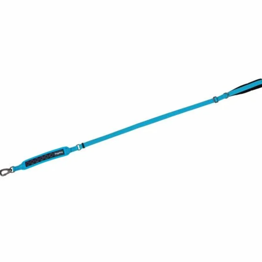 Freedog Boreal Correa Standard Azul 200g