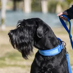 Freedog Collar Cool Pro Tech Azul 100g