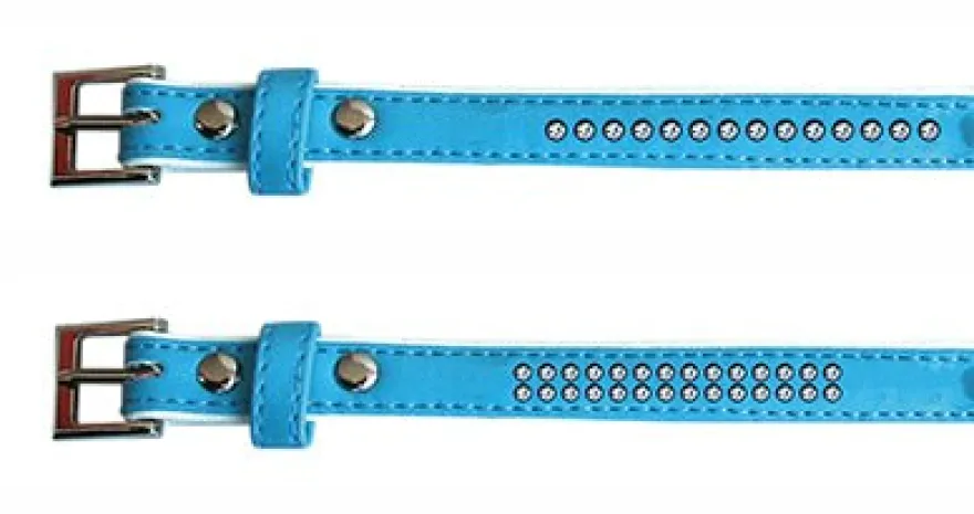 Freedog Collar de Polipiel Brillante Azul 25cm
