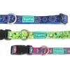 Freedog Collar Mojito para Perros 1 ud