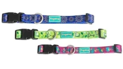 Freedog Collar Mojito para Perros 1 ud
