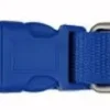 Freedog Collar Nylon Basic Azul 10mm 1 ud