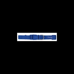 Freedog Collar Nylon Basic Azul 10mm 1 ud