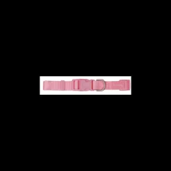 Freedog Collar Nylon Basic Rosa 10mm 1 ud