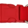 Freedog Collar Nylon Basic Rojo 20/35cm