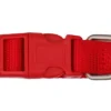 Freedog Collar Nylon Basic Rojo 1 ud