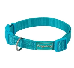 Freedog Collar Nylon Basic Turquesa 1 ud