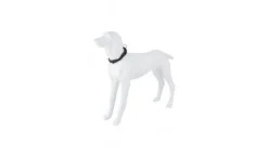 Freedog Collar Nylon Extreme Negro 25-36cm