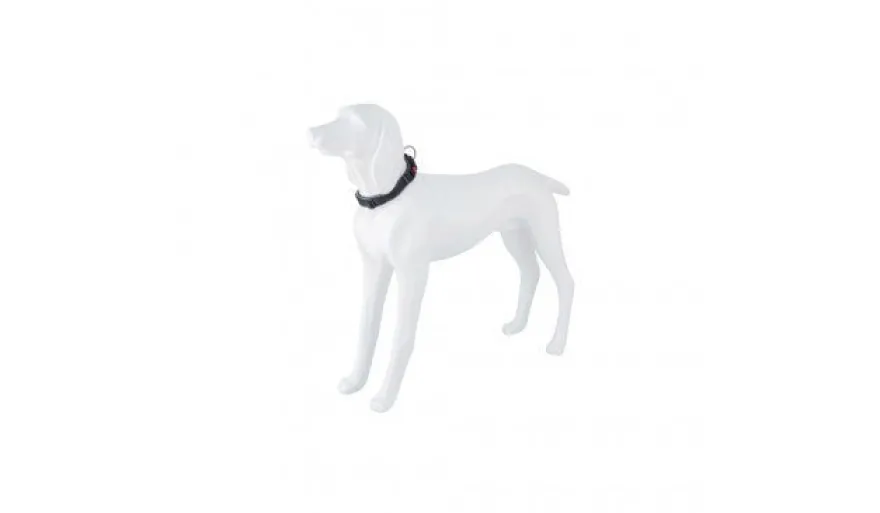 Freedog Collar Nylon Extreme Negro 25-36cm