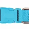 Freedog Collar Turquesa 20/35cm 10mm