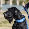 Freedog Cool Pro Tech Collar Azul 100g