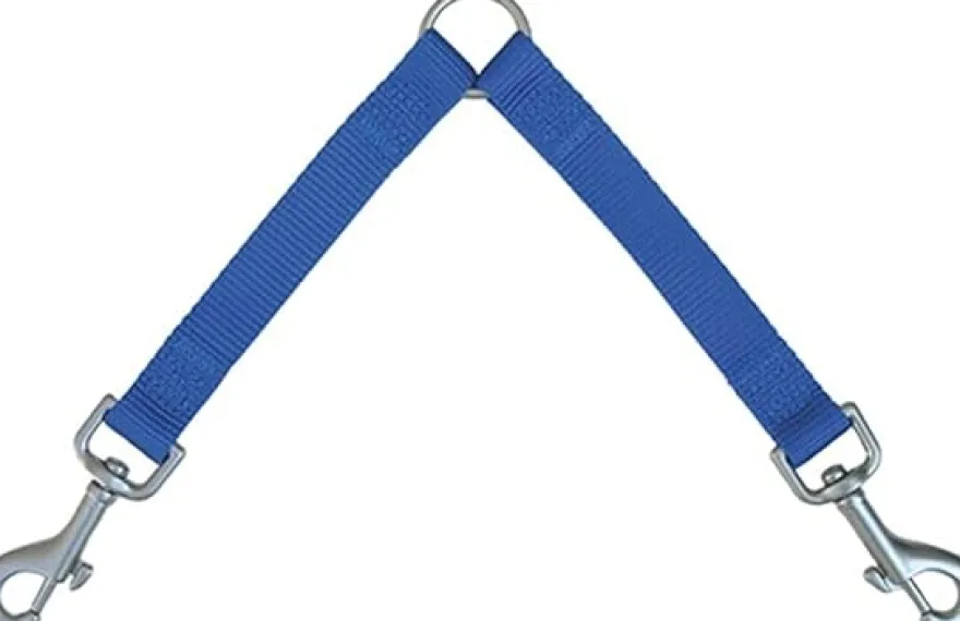 Freedog Correa Nylon Duo Doble Azul 30cm