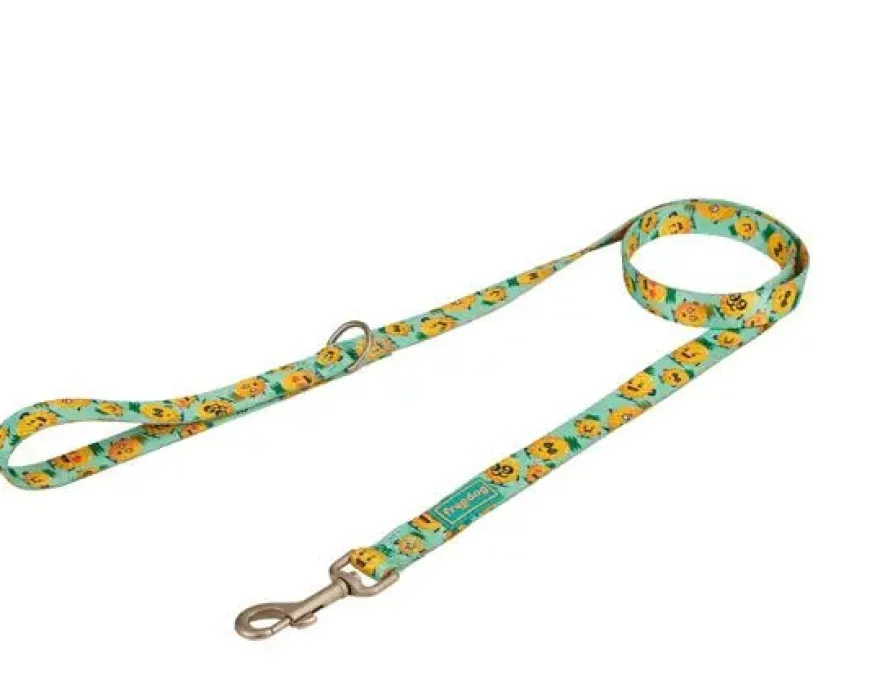 Freedog Correa Pineapple Breeze 120cm