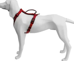 Freedog Extreme Arnés Rojo 1 ud