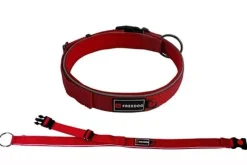 Freedog Extreme Collar de Nylon Rojo 15mm, 25-36cm
