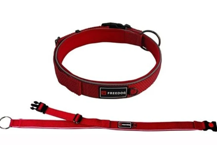 Freedog Extreme Collar de Nylon Rojo 15mm, 25-36cm