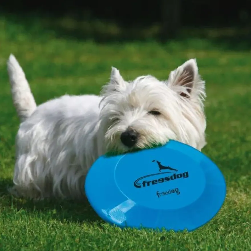 Freedog Frisbee Flotante 23cm