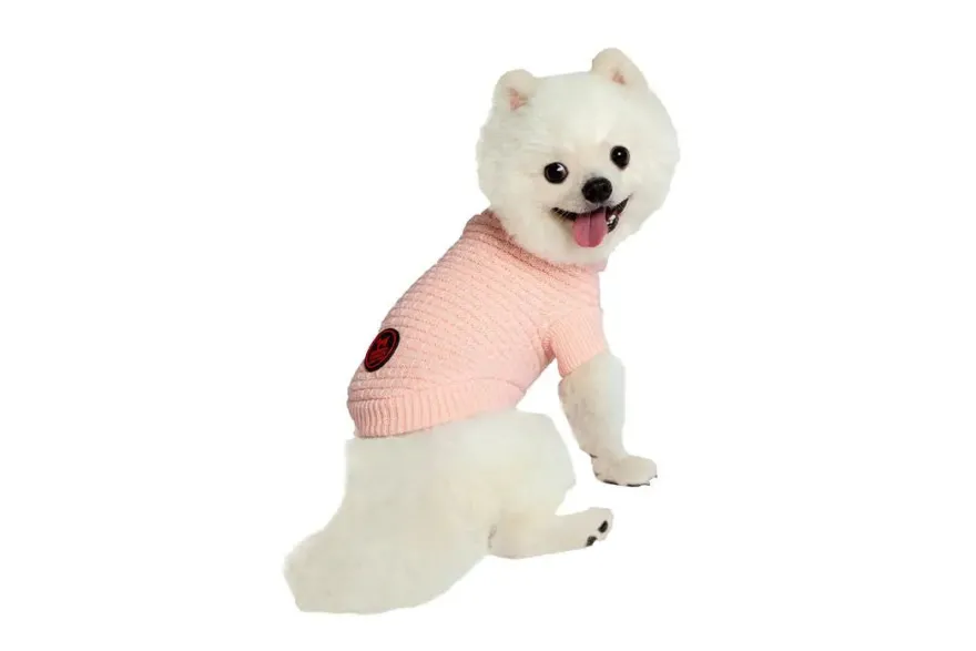 Freedog Jersey Frapp Salmón 25cm