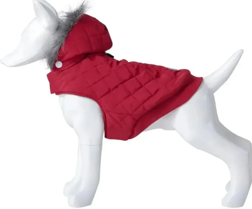 Freedog Lane Abrigo Impermeable Rojo 20cm