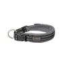 Freedog Letra Brillante Collar Multicolor 1 ud