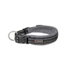 Freedog Letra Brillante Collar Multicolor 1 ud