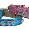Freedog Letra Brillante V Collar Multicolor 2000g