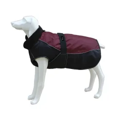 Freedog North Pole C Capa Granate 1 ud