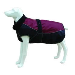 Freedog North Pole C Capa Granate 1 ud
