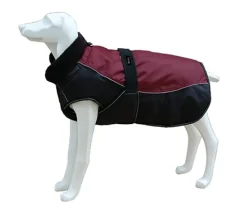 Freedog North Pole C Capa Granate 1 ud
