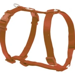 Freedog Nylon Basic Arnés Rojo 1 ud