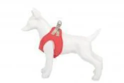 Freedog Shiva Arnés Rojo S 35-40cm