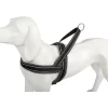 Freedog Shiva Sport Arnés Gris XXS, 1 ud