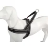 Freedog Shiva Sport Arnés M Gris 1 ud